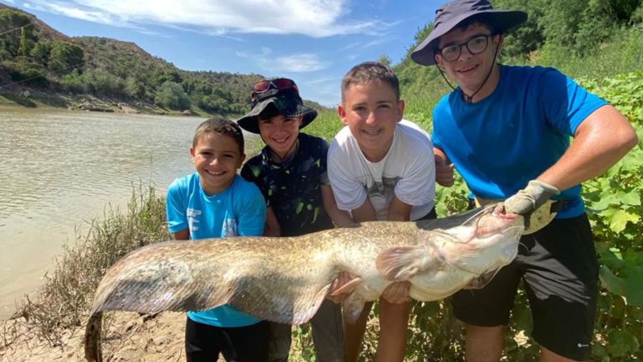 Colonies de Pêche en Espagne