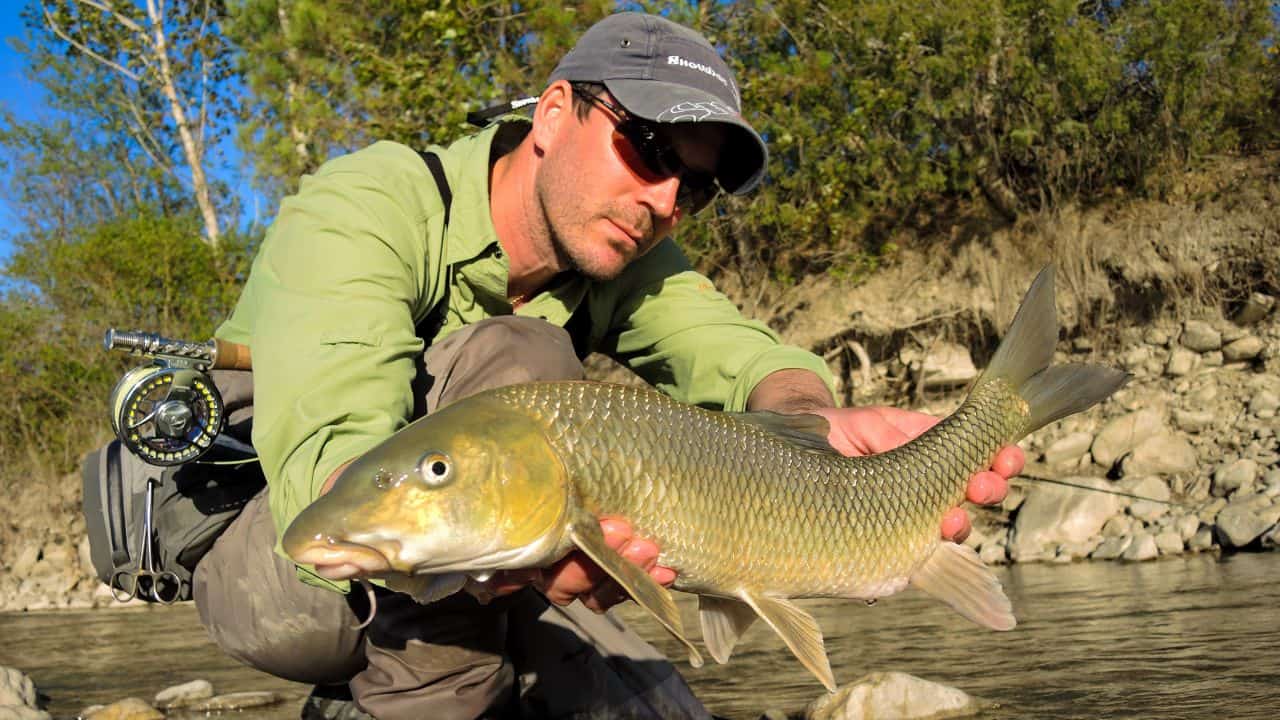 Pêche à la Mouche en Estrémadure