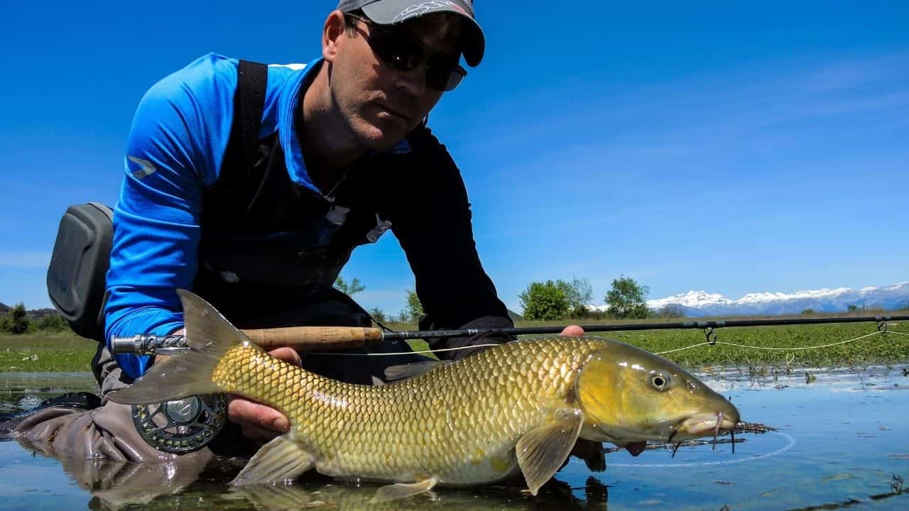 Pêche à la Mouche en Estrémadure