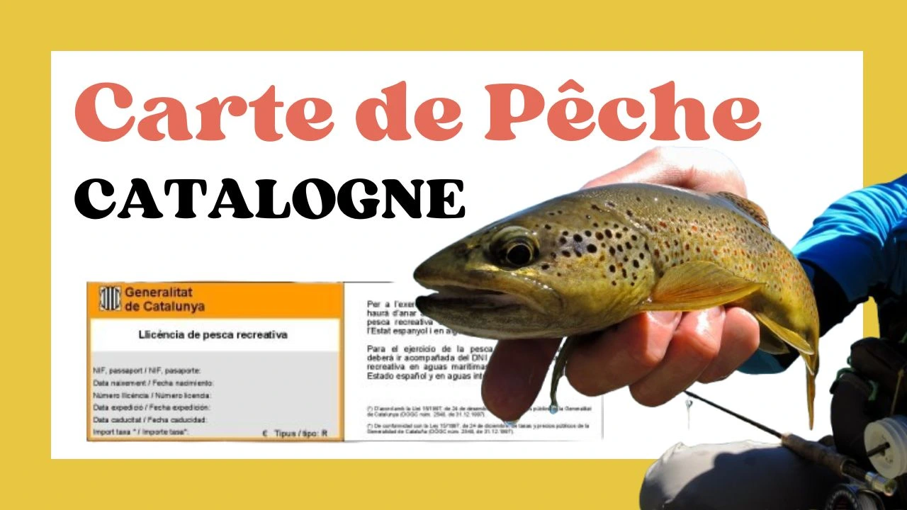 Licence de Pêche en Catalogne