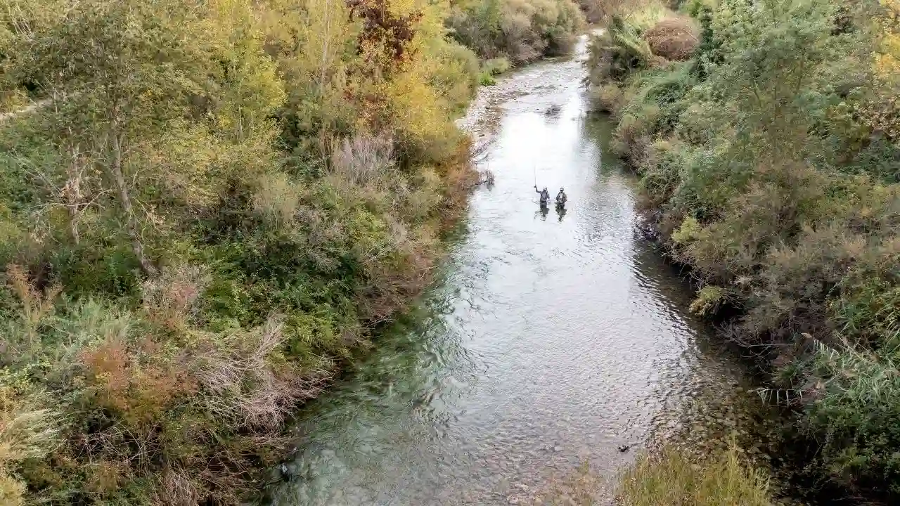 Pêche à la Mouche en Catalogne
