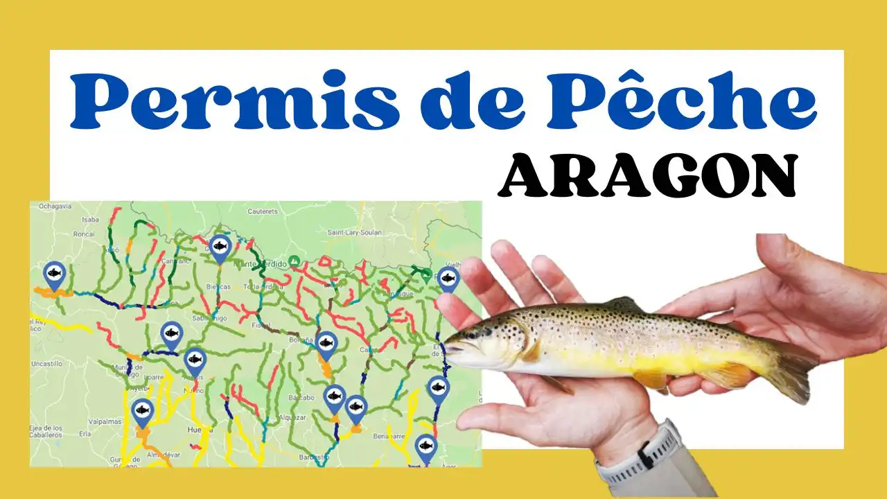 Permis de pêche en cotos d'Aragon: guide complet