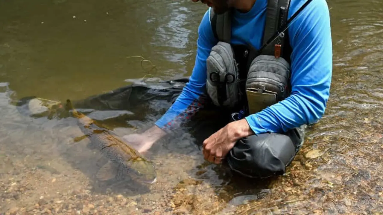 Pêche à la Mouche en Castille et León